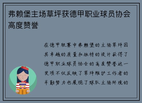 弗赖堡主场草坪获德甲职业球员协会高度赞誉